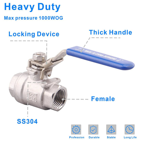 DERNORD 1/2 in SS304 stainless steel ball valve with locking device and blue handle, female NPT ends