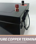 Solid 1/4 Inch Copper Battery Terminal Studs In Red And Black, Heavy Duty Cable Connectors For Your Ride, visible pure copper terminals on battery.