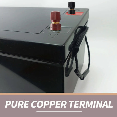 Solid 1/4 Inch Copper Battery Terminal Studs In Red And Black, Heavy Duty Cable Connectors For Your Ride, visible pure copper terminals on battery.