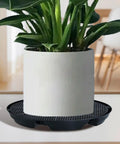 Self Watering Fabric Pot Base For Heavy Flower Pots Indoor Outdoor Garden System with white pot and plant on table