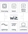 Diagram showing connectivity of Lit Smart Light Bulbs 2 Pack Color Changing A19 LED with WiZ smart plug, switch, and motion sensor.