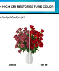 Image comparing CRI 80 vs CRI 95+ lighting on red flowers under Dimmable Vintage Edison LED Bulbs For E26 Base No Flicker 60W Equivalent.