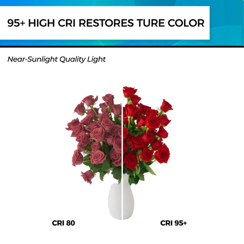 Image comparing CRI 80 vs CRI 95+ lighting on red flowers under Dimmable Vintage Edison LED Bulbs For E26 Base No Flicker 60W Equivalent.