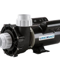 Heavy Duty 2.5Hp Hot Tub Spa Pump With 2 Speed Motor And 2Inch Port For 230V Systems, black and white pump with ports for installation.