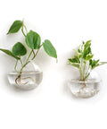 Hanging Glass Terrarium Planter Set Of 2 For Hydroponics And Air Plants, Oblate Vase Decor For Bathroom, Living Room And Office