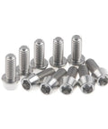 Pack of 10 Titanium M6x16mm Bolts With Tapered Hex Allen Head For Bikes, 6Al4V Alloy, shown in a group on white background.