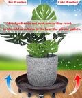 20 Inch Round Plant Stand With Lockable Wheels Heavy Duty 480 Lb Capacity Rolling Plant Caddy For Indoor And Outdoor Use with plant pot