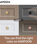 Four cabinet knobs, showcasing different finishes including Champagne Gold Brushed Brass 1 Inch with various backdrops.