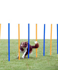 Dog weaving through All Breeds Dog Agility Slalom Course With 12 Weave Poles Easy Assembly Outdoor Training Gear For Backyard And Park