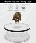 Elephant standing on Six Pack 12 Inch Ultra Thin Flush Mount LED Ceiling Lights 3200 Lumens 28W Round Flat Surface Fixture 6000K Day White 120V Black Finish