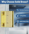 Premium Solid Brass 90 Degree Glass Shower Door Hinges With Short Back Plate Requiring Exact Glass Cutout For Rock Solid Grip No sweat install and heavy duty.