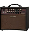 Gig-Ready Acoustic Singer Live LT 60-Watt Dual Channel Guitar Amp With Separate Mic And Guitar Inputs front view