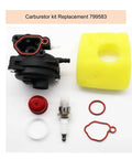 Carburetor Kit For Lawn Mower Engines 125Cc 140Cc Fits 300E 450E 500E 550EX parts including gaskets, spark plug, air filter
