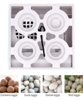 Top view of the Digital Pro Grade Poultry Egg Incubator With Automatic Temperature Control, showing egg slots for various poultry types.