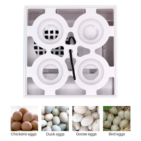 Top view of the Digital Pro Grade Poultry Egg Incubator With Automatic Temperature Control, showing egg slots for various poultry types.
