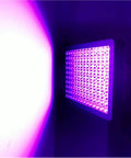 Killer Heavy Duty LED UV Curing Lamp 365NM And 405NM Dual Beam straight view of purple light producing UV rays.