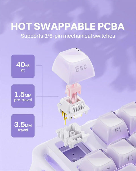 Hot swappable PCB of Compact 75 Percent Wireless Mechanical Gaming Keyboard featuring 3/5-pin switches and aluminum chassis.