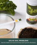 Soil pH Test Strips Kit for Garden Lawn Vegetables and Flowers Indoor and Outdoor Plants Accurate pH 3.5 to 9 with soil