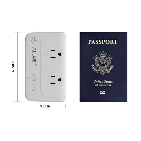 Global Travel Voltage Converter For Hair Tools 220V To 110V Up To 230W For Hair Straighteners And Curling Irons next to passport