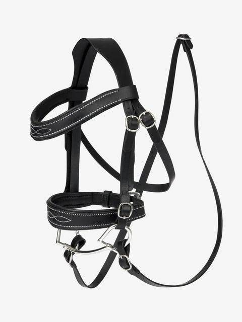 Hobby Horse Toy Competition Bridle in Black with Padded Leather Browband and Noseband, Interchangeable Details, Adjustable Fit