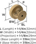 Diagram of Champagne Bronze Cabinet Knob 1-1/4 Inch Diameter for Cabinets and Drawers dimensions with labels for length, width.