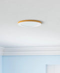 12 Pack 4 Inch 5CCT LED Recessed Ceiling Lights With Night Light CRI90 850 Lumen 10.5W 80W Equivalent installed on ceiling