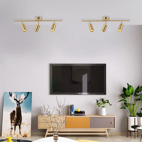Living room with two Brass Gold 3 Light Track Lighting Kit With Adjustable LED Heads, modern fixtures overhead