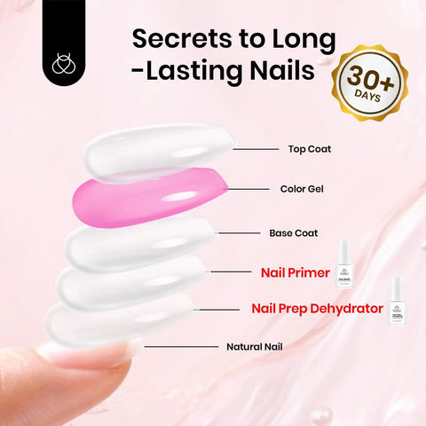 Pro Nail Prep Kit With Dehydrator And Primer, Large 20Ml Bottles, Acid-Free And Hema-Free Formula, acrylic nail layers diagram