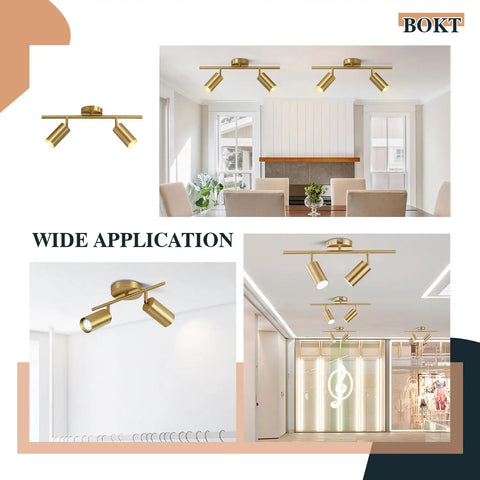 Mid Century Modern 2 Light LED Track Lighting Kit With Dual Way Operation Gold Flush Mount Ceiling Spotlight In Brushed Brass