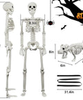 3ft human skeleton with measurements, 20in dog skeleton, and 31.4in bone replicas, showcasing Halloween decor sizes.