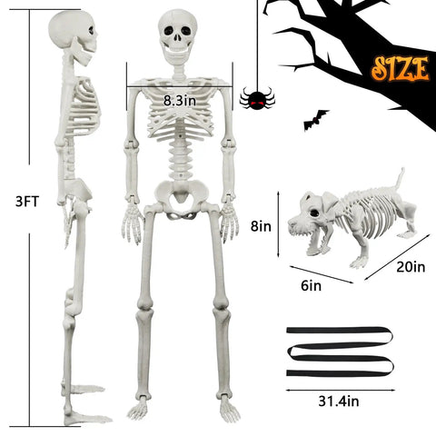 3ft human skeleton with measurements, 20in dog skeleton, and 31.4in bone replicas, showcasing Halloween decor sizes.