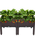 Plastic Square Raised Garden Bed Set With Self-Watering Design For Indoor And Outdoor Use, No-Fuss For Growing Vegetables, Fruits, Potatoes And Flowers, Flexible Modular System, All Weather Durability, 2 Piece Kit with strawberries growing in elevated planters.