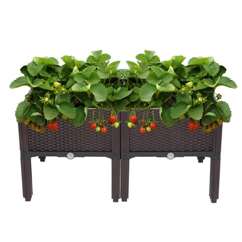 Plastic Square Raised Garden Bed Set With Self-Watering Design For Indoor And Outdoor Use, No-Fuss For Growing Vegetables, Fruits, Potatoes And Flowers, Flexible Modular System, All Weather Durability, 2 Piece Kit with strawberries growing in elevated planters.