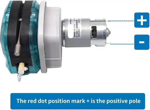 High Flow L Shape Peristaltic Sewage Pump With Self-Priming Gear Transmission Motor For Liquid Transfer And Effluent Handling High Strength Titanium Alloy Build Reliable Performance In Corrosive Environments
