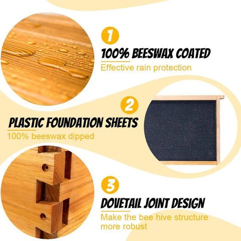 8 Frame Deep Langstroth Beehive Kit With Clear Window Panels Unassembled Includes Wooden Frames Waxed Foundations detail