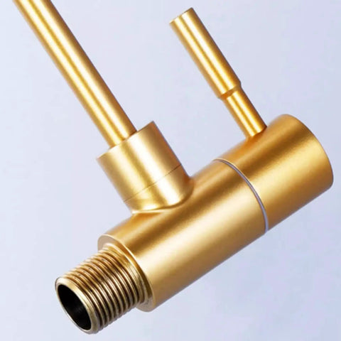 AOXHUGB Faucet Tap Drinking Water Faucet Kitchen Sink Stainless Steel 1/4,200Mm (A 195MM) in elegant gold finish.
