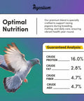 Organic Racing Pigeon Food Race Ready High Protein Bird Seed With Vitamin Premix For Endurance Muscle Recovery And Flight Performance Non GMO No Fillers Made In USA 5 Lb Bag, pigeon flying with nutritional info on protein, fat, fiber, and ash.