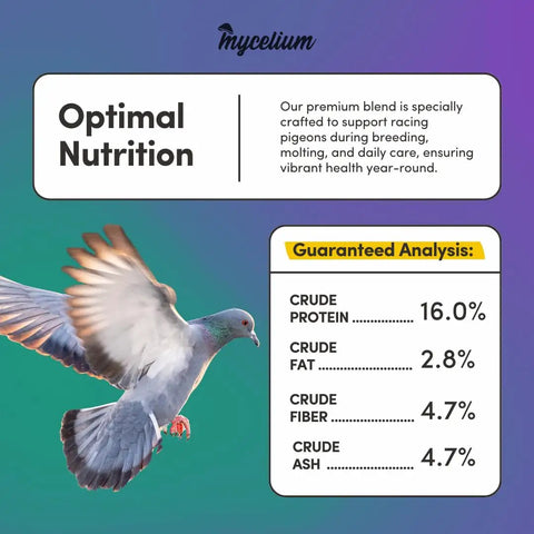 Organic Racing Pigeon Food Race Ready High Protein Bird Seed With Vitamin Premix For Endurance Muscle Recovery And Flight Performance Non GMO No Fillers Made In USA 5 Lb Bag, pigeon flying with nutritional info on protein, fat, fiber, and ash.