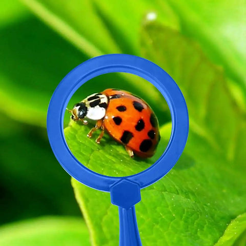 Ladybug on leaf viewed through Kid Friendly Jumbo Magnifying Glass Set With Stand Six Pack For Ages Three Plus Easy Grip Primary Science