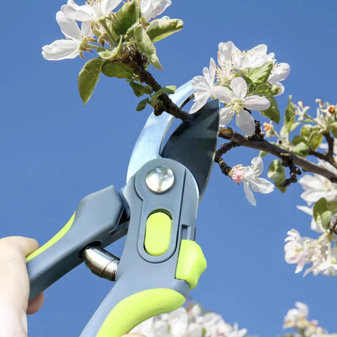 Hand using 8 inch bypass pruner from Three Piece Garden Pruning Tool Set With 28 Inch Lopper 23 Inch Hedge Shears And 8 Inch Bypass Pruner Beast Mode Heavy Duty Pro Grade Branch Cutters For Thick Branches Tree Trimming And Hedge Care to trim branch