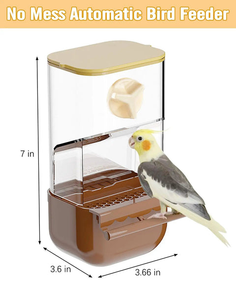 Slick Automatic Bird Feeder With Sturdy Perch And Transparent Seed Bin Keeping a parakeet fed, dimensions 3.66 x 3.6 x 7 inches.