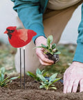 Simulated Bird Shaped Soil Moisture Sensor With Automatic Alarm Portable Plant Water Tester in garden bed with seedlings
