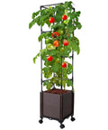 56 Inch Raised Garden Bed With Tomato Cage And Trellis, Self Watering Planter Box For Vegetables And Flowers with lockable wheels