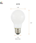TruWave Natural Series A19 LED Bulbs For Home Lighting, 60W Equivalent, 8W Low Power, medium base, frosted bulb dimensions
