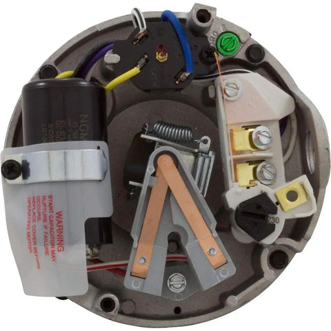 1-1/2 Horsepower Up-Rated Round Flange Replacement Motor For Pumps High Efficiency Corrosion-Resistant Shell Easy Wiring Access