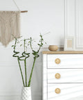 Hexagon Pocket Door And Drawer Handles Set Of 4 Flush Ring Pulls In Zinc Alloy Gold Finish on white modern cabinet drawers