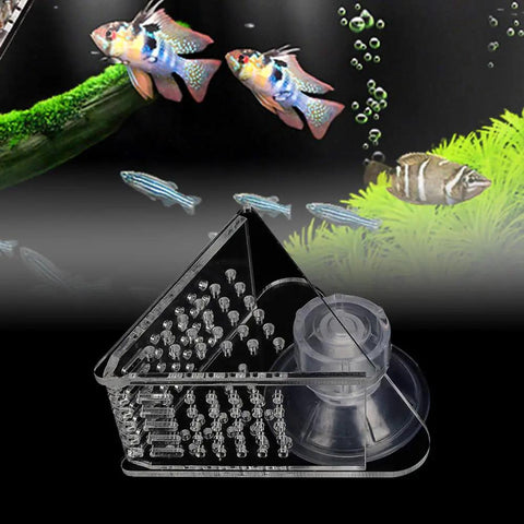 Acrylic V Shape Conical Aquarium Fish Feeder Cup For Live Red Worms Bloodworms And Brine Shrimp Eggs with clear suction base.