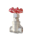 304 Stainless Steel Gate Valve Heavy Duty Half Inch NPT Female Thread Rotary Action For Water Flow Control And Pressure, front view
