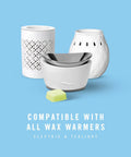 Wax Melts Air Freshener With Gain Original Scent Pack Of 8 with white wax warmers and single wax cube