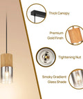 Adjustable Pendant Light Fixture In Frosted Gold Glass, Modern Farmhouse Chandelier details including canopy and glass shade